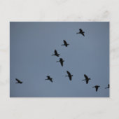 ゲーゼ ポストカード (正面)