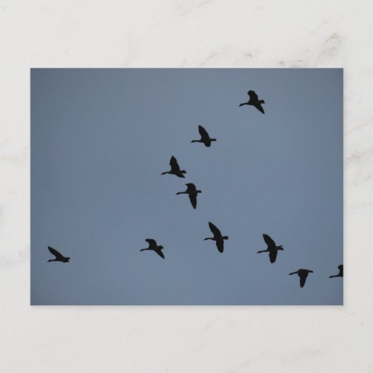 ゲーゼ ポストカード (正面)