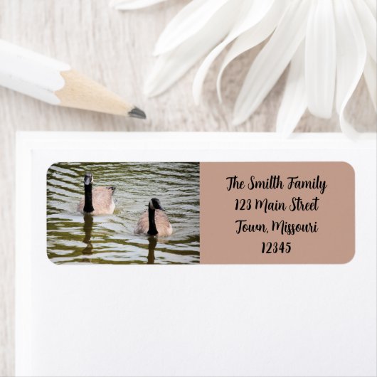 ゲーゼ ラベル (インサイチュ)