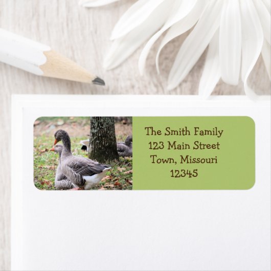 ゲーゼ ラベル (インサイチュ)