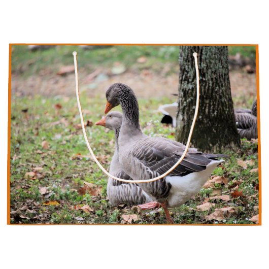 ゲーゼ ラージペーパーバッグ (正面)