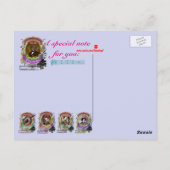 ゲータノドギゼッティ犬の作曲家ドニゼッティ ポストカード (裏面)