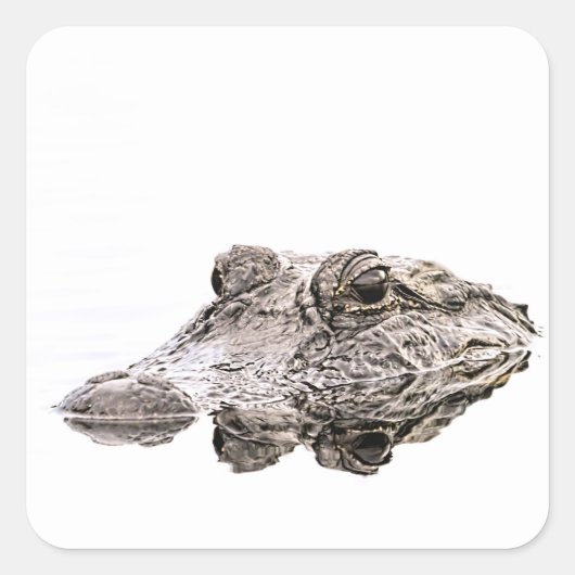 ゲーターシール スクエアシール (正面)