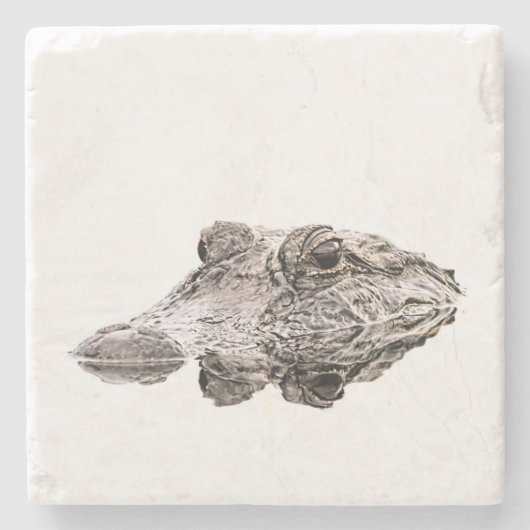 ゲーターストーンコースター ストーンコースター (正面)