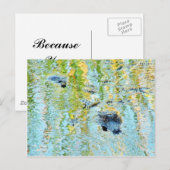 ゲーターズアリゲータスワンプス ポストカード (正面/裏面)