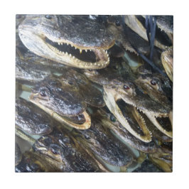 ゲーターヘッドセラミックタイル タイル