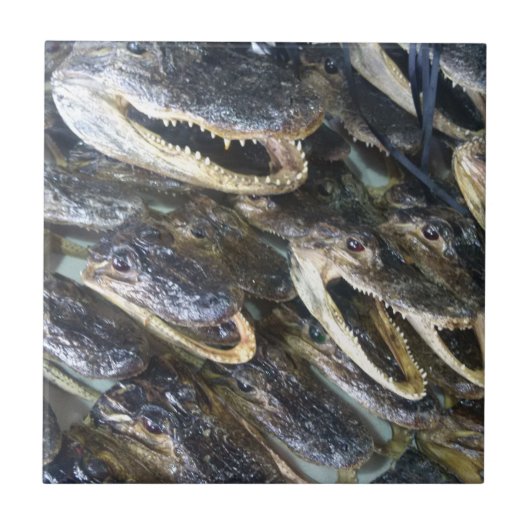 ゲーターヘッドセラミックタイル タイル (正面)