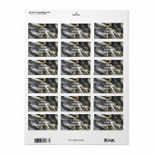 ゲーターヘッド住所 シール (フルシート)