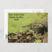 ゲーターポストカード ポストカード (正面/裏面)