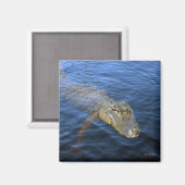 ゲーターマグネット マグネット (正面/裏面)