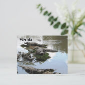 ゲーター池 ポストカード (スタンド正面)