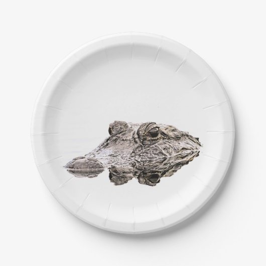 ゲーター紙プレート ペーパープレート (正面)