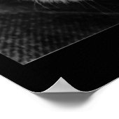 ゲーター ポスター (角)