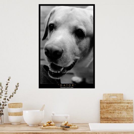 ゲーター ポスター (キッチン)