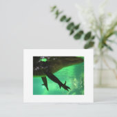 ゲーター ポストカード (スタンド正面)