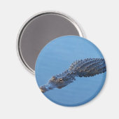 ゲーターI マグネット (正面/裏面)