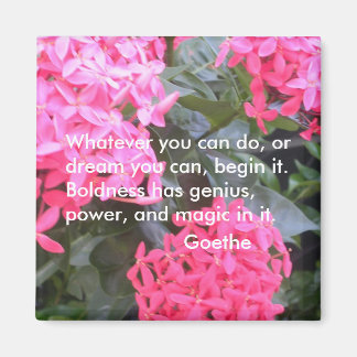 ゲーテやる気を起こさせるー引用磁石 マグネット