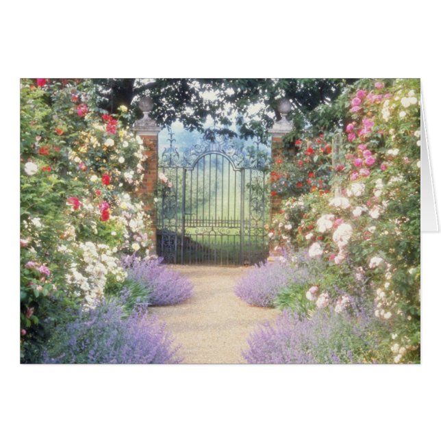 ゲートで制御するべきピンクの雑種のバラが並ぶ道Underplanted (正面横)