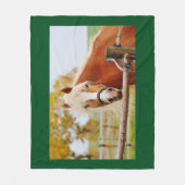 ゲートの馬 フリースブランケット (正面)