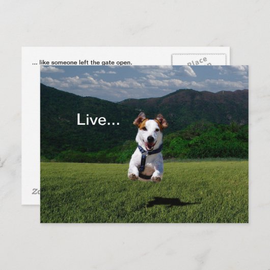 「ゲートを開け離れて人と同じように生きる」はがき2 ポストカード (正面/裏面)