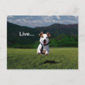 「ゲートを開け離れて人と同じように生きる」はがき2 ポストカード (正面)