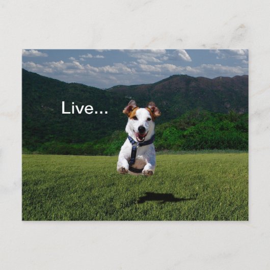 「ゲートを開け離れて人と同じように生きる」はがき2 ポストカード (正面)