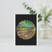 ゲート ポストカード (スタンド正面)