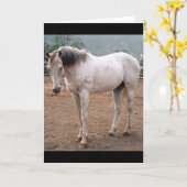 ゲーマーズウェイ カード (黄色い花)