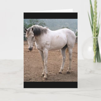 ゲーマーズウェイ カード