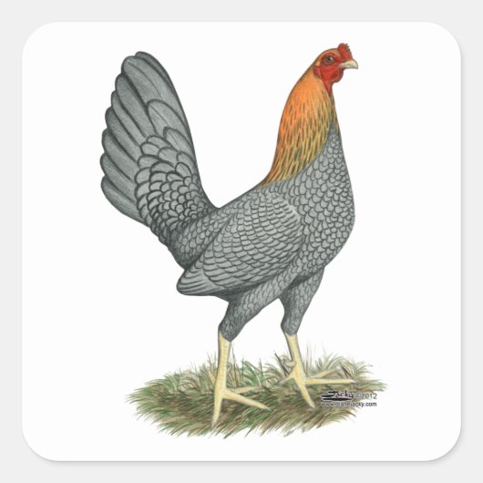 ゲームにわ 鳥 青 赤 スクエアシール (正面)