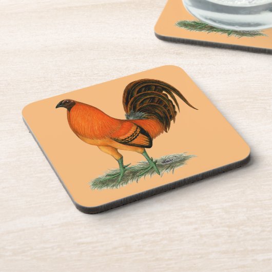 ゲームコックのジンジャー レッドロースター コースター (左側)