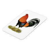 ゲームコック ウィートン オス マグネット (左側)