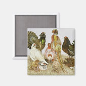 ゲームバード マグネット (正面/裏面)