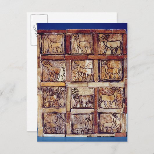 ゲームボード、フィールドとフォレストの動物 ポストカード (正面/裏面)