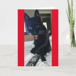 ゲーム招待リモートおもしろい猫 招待状