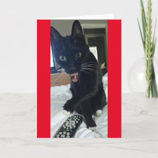 ゲーム招待リモートおもしろい猫 招待状