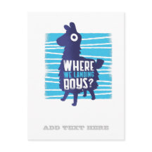 ゲームLlamaここで我々は少年のグラフィックティーンに着陸