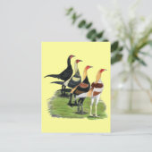 ゲーモダンムロスター ポストカード (スタンド正面)