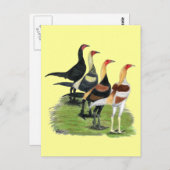 ゲーモダンムロスター ポストカード (正面/裏面)