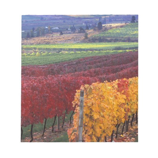 ゲーリングの濃い赤と黄色の紅葉 ノートパッド (正面)