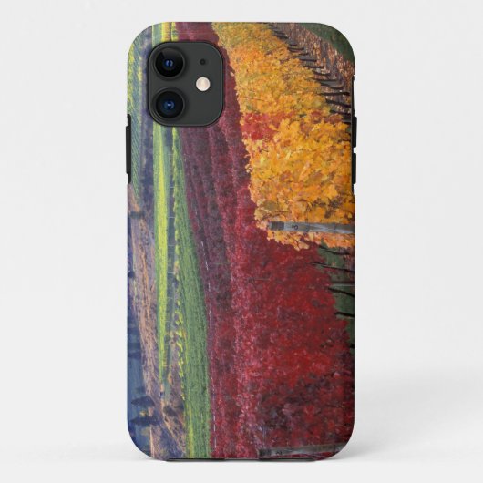 ゲーリングの濃い赤と黄色の紅葉 Case-Mate iPhoneケース (裏面)