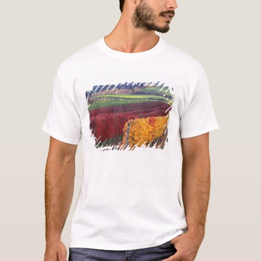 ゲーリングの濃い赤と黄色の紅葉 Tシャツ (正面)