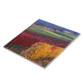 ゲーリングの赤と黄色の強い紅葉 タイル (側面)