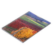 ゲーリングの赤と黄色の強い紅葉 ノートブック (左側)