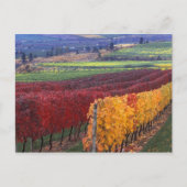 ゲーリングの赤と黄色の強い紅葉 ポストカード (正面)