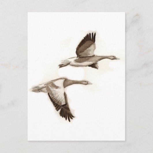 ゲー飛んでいるゼスケッチ ポストカード (正面)