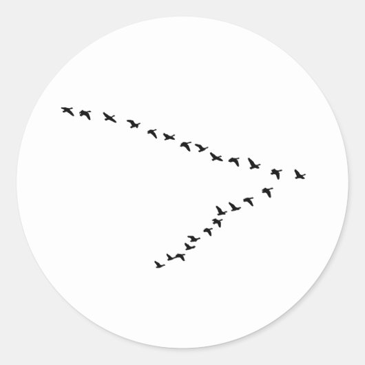 ゲー飛んでいるゼ「V」形成 ラウンドシール (正面)