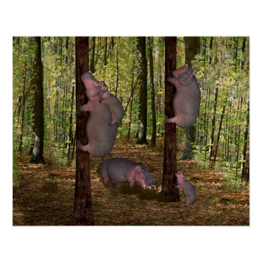 コアラおもしろい・ワナベ海馬 ポスター (正面)