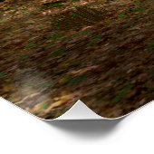 コアラおもしろい・ワナベ海馬 ポスター (コーナー)