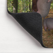 コアラおもしろい・ワナベ海馬 マウスパッド (コーナー)